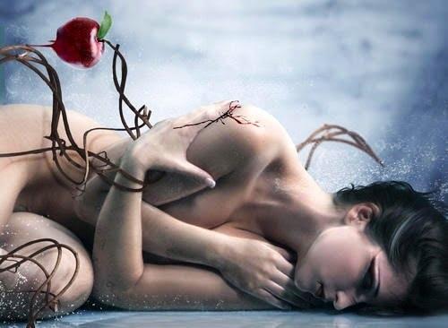 12 starke Emotionen