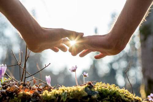 Hand-ueber-Blumen