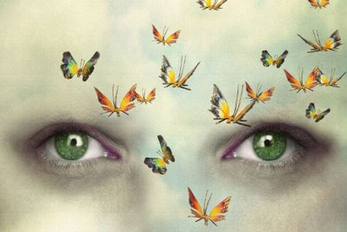 Schmetterlinge vor grünen Augen