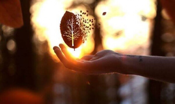 Das einzige Zeichen von Überlegenheit ist Güte