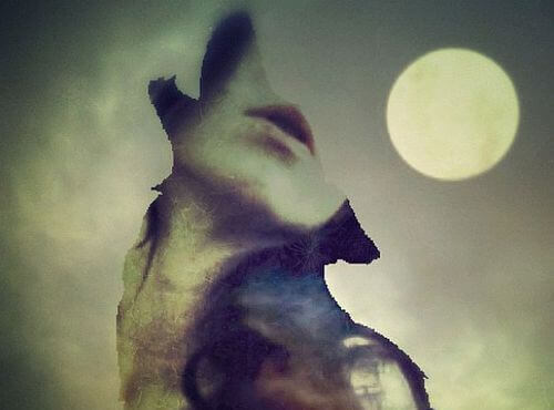 Profil eines Wolfs aus einem Menschen geschnitten
