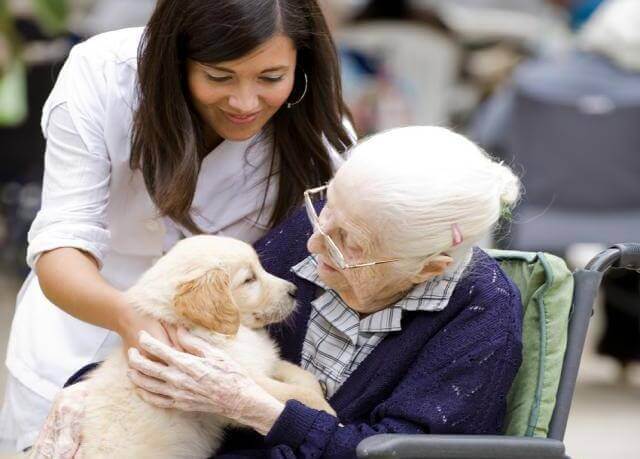 Rentnerin mit Hund