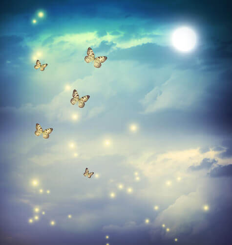Schmetterlinge fliegen in den Himmel