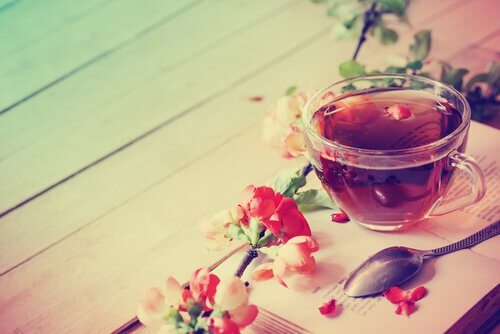 Camellia Sinensis: Die Vorzüge von Tee