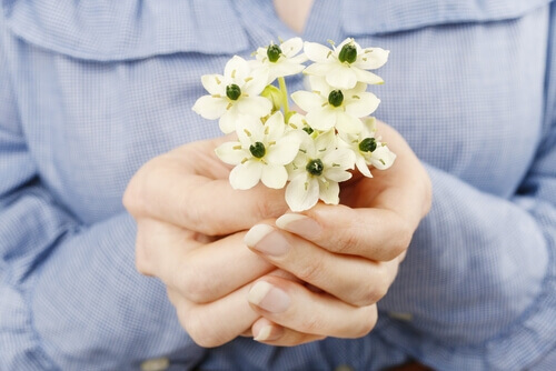 Kleines Blumensträußchen, um um Vergebung zu bitten