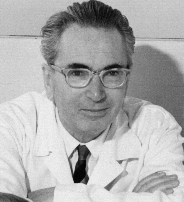 6 Lektionen von Viktor Frankl über die Konfrontation mit dem Elend