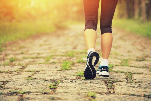 Jogging-im-Wald