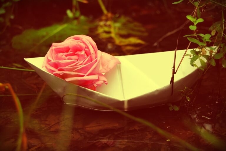 rose-in-papierboot