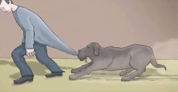 "Ich hatte einen schwarzen Hund und sein Name war Depression", der Kurzfilm, der uns diese zu verstehen hilft