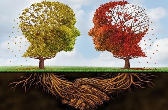 10 Arten von Psychologen