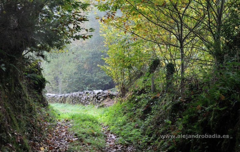 Lektionen des Lebens