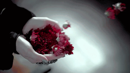 blumen