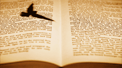 buch