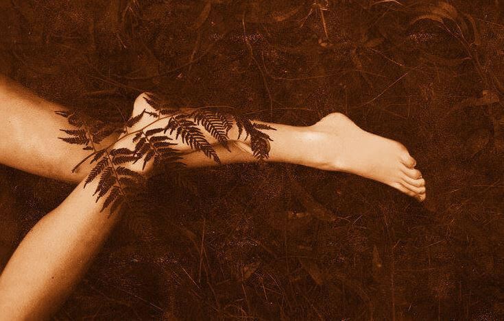 Eine Geschichte über Hoffnung: Das Farnkraut und der Bambus