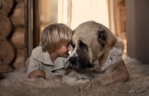 junge-und-hund