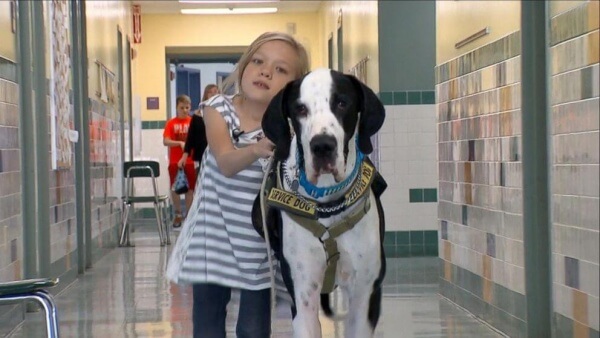 Tiertherapie: Die wundervolle Geschichte von Bella und George