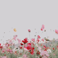 blumen