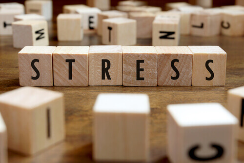Wie Stress sich auf unsere Gesundheit auswirkt