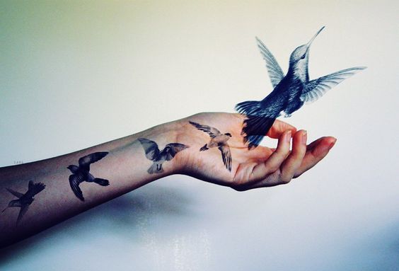 den-vogel-fliegen-lassen