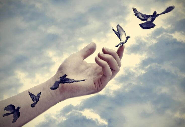 hand-laesst-voegel-fliegen