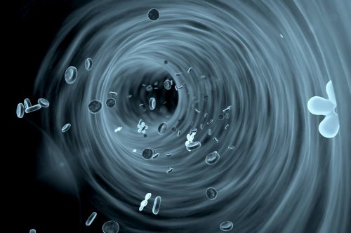 Blutgefäß von innen