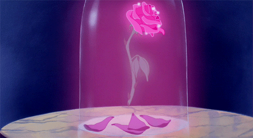 rose-gif