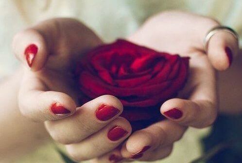 rose
