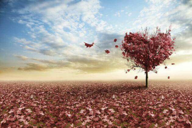 3 Gedanken über Liebe von Erich Fromm