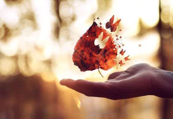 Es gibt bestimmte Zeitpunkte im Leben, um Fragen zu stellen und um Antworten zu finden