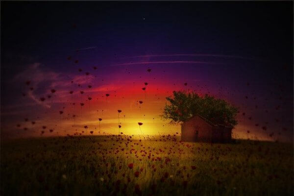 Emotionales Marketing - der Kauf von Emotionen