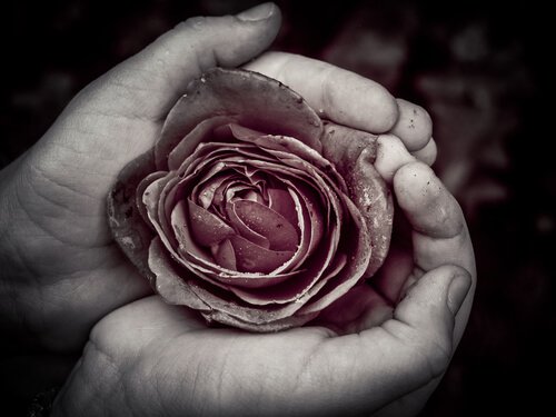 Die Perfektion in der Imperfektion