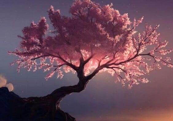 Die heilende Wirkung von Bäumen laut dem Taoismus