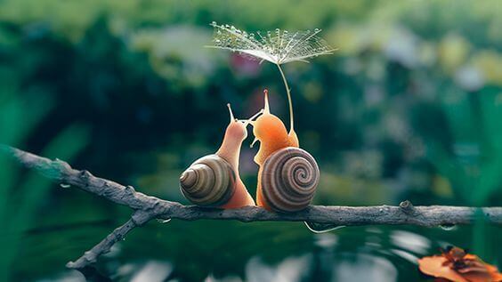 Entschleunigung - langsamer ist besser