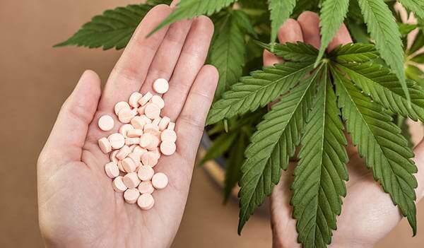 Mythen und Wahrheiten über Marihuana