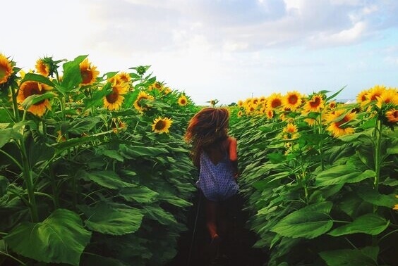 5 unwiederbringliche Momente, die wir niemals vergessen werden