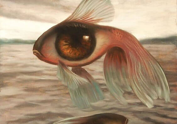 Ein Auge in Fischform - Wie der Mensch sich an seine Umwelt anpasst