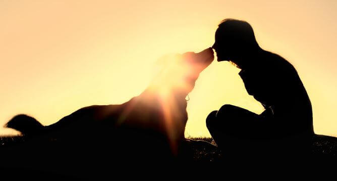 Eine Frau mit ihrem Hund bei Sonnenuntergang