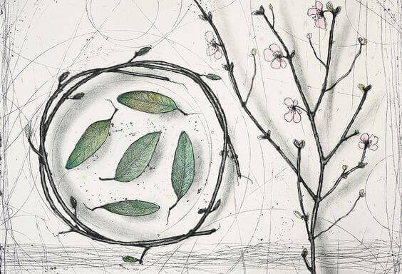 Eine botanische Zeichnung mit blühenden Zweigen, einem Zweigenkranz und Blättern.