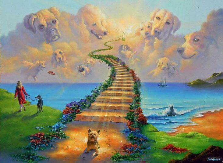 Die Legende der Regenbogenbrücke: der Himmel unserer Haustiere