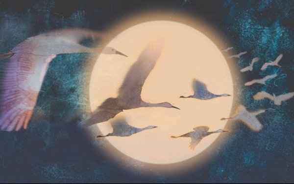 Ein Vogelschwarm fliegt vor einem vollen Mond.