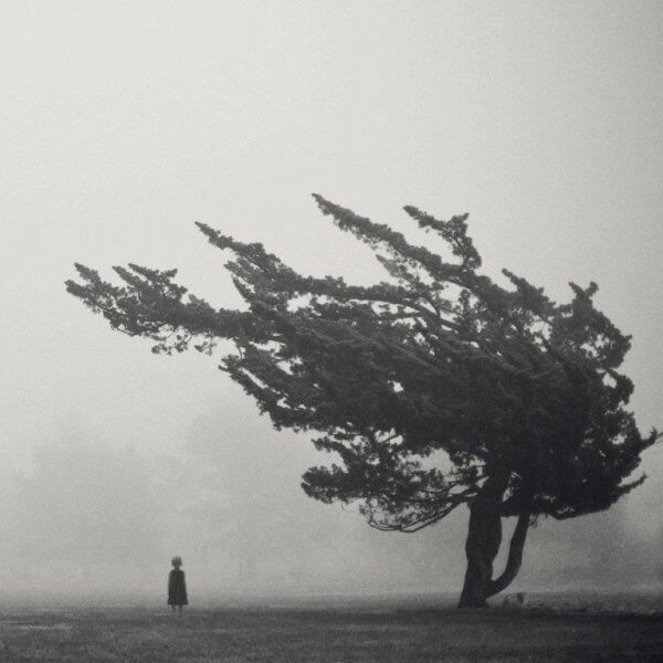 Kind steht unter einem vom Wind gezeichneten Baum