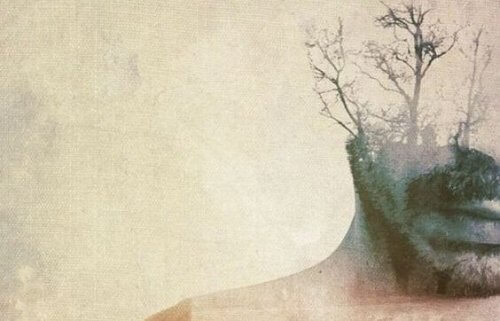 Doppelaufnahme eines Mannes und eines kahlen Baumes