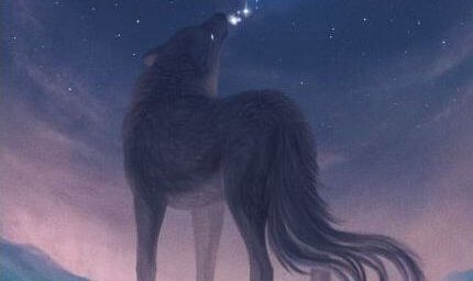 Gefühle herauslassen - Wolf heult Sterne an