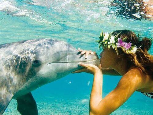 Frau küsst Delfin