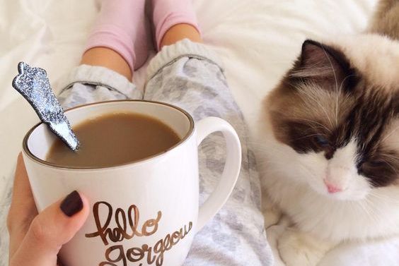 Frau mit Katze im Bett