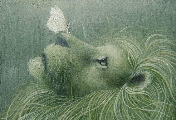 Löwe mit Schmetterling auf der Nase
