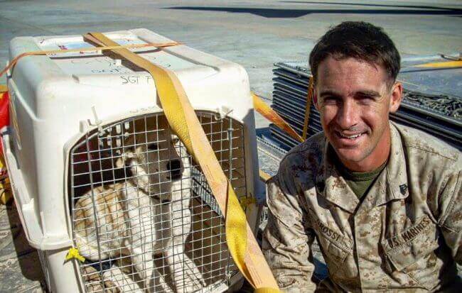 Soldat mit Hund