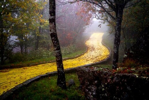 Der gelbe Backsteinweg