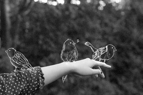 Gezeichnete Vögel auf einer Hand