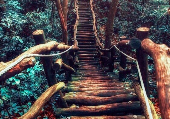 Bewege dich und dein Weg wird sich vor dir auftun